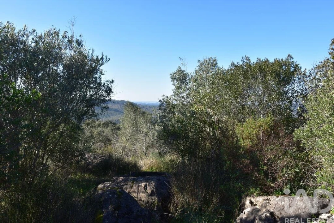 Moradia para Venda em Freixianda, Ribeira do Fárrio e Formigais Foto 15