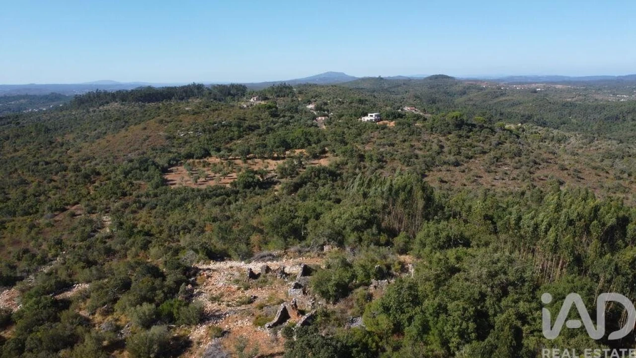 Moradia para Venda em Freixianda, Ribeira do Fárrio e Formigais Foto 25