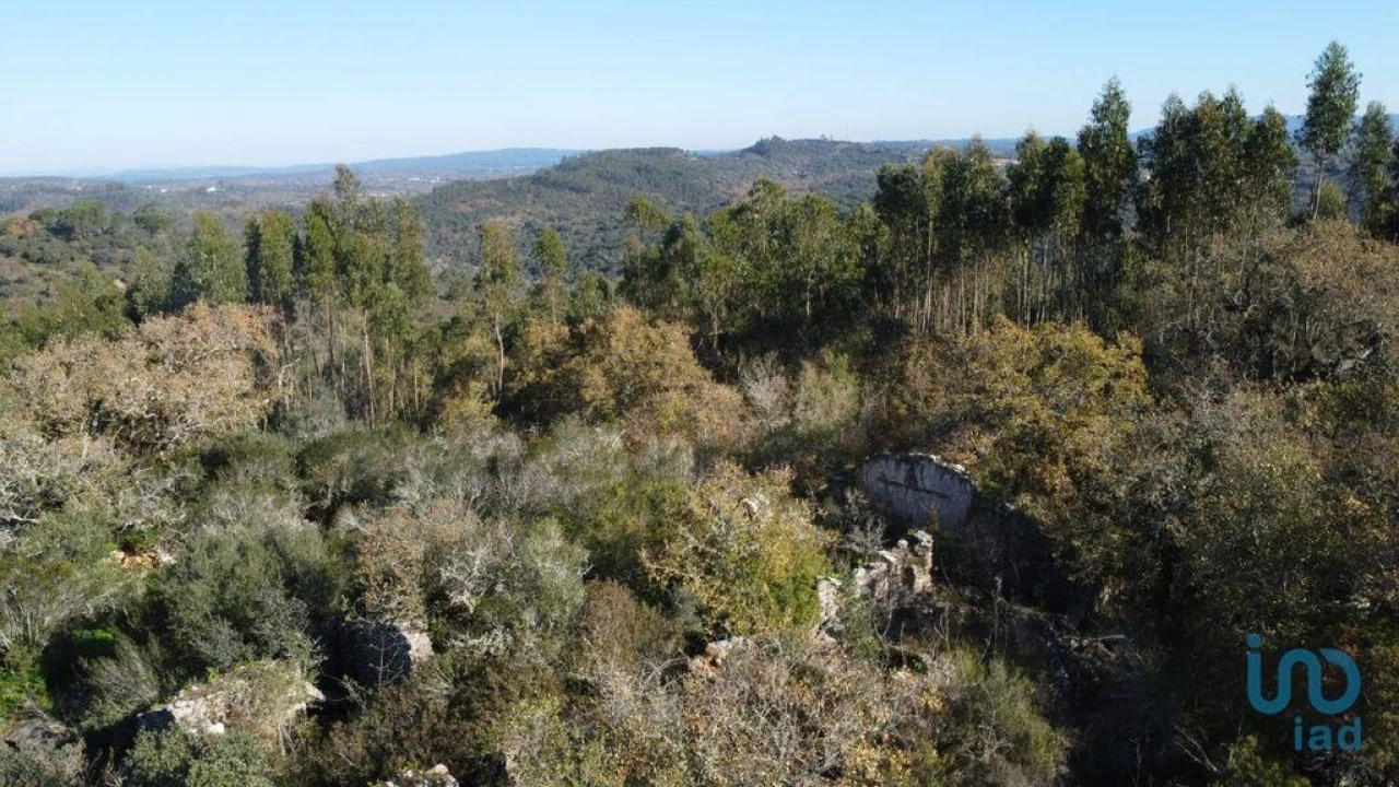 Moradia para Venda em Freixianda, Ribeira do Fárrio e Formigais Foto 3