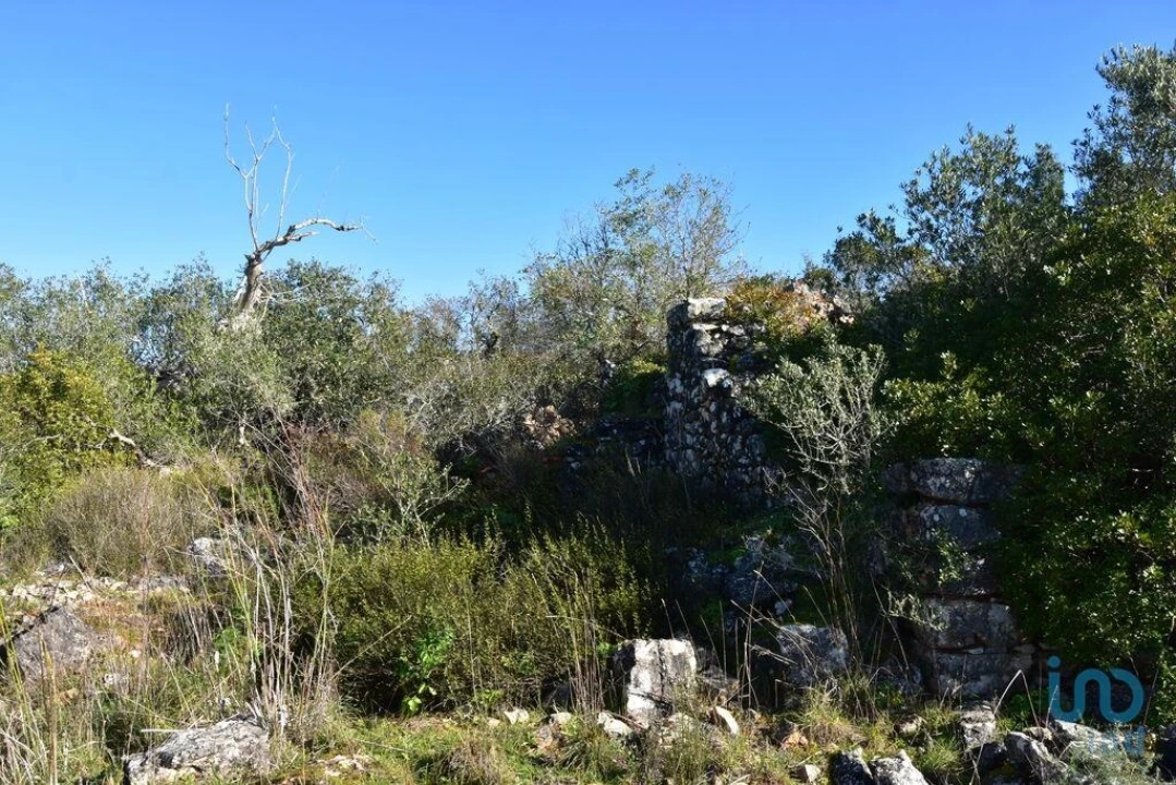Moradia para Venda em Freixianda, Ribeira do Fárrio e Formigais Foto 11