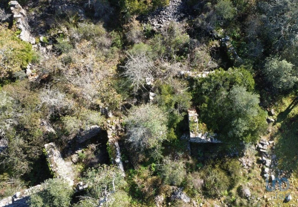 Moradia para Venda em Freixianda, Ribeira do Fárrio e Formigais Foto 9