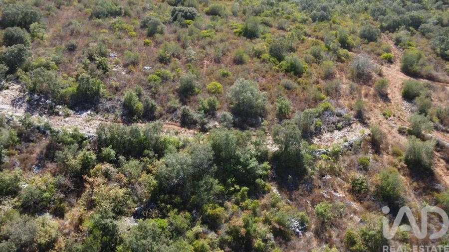 Moradia para Venda em Freixianda, Ribeira do Fárrio e Formigais Foto 23