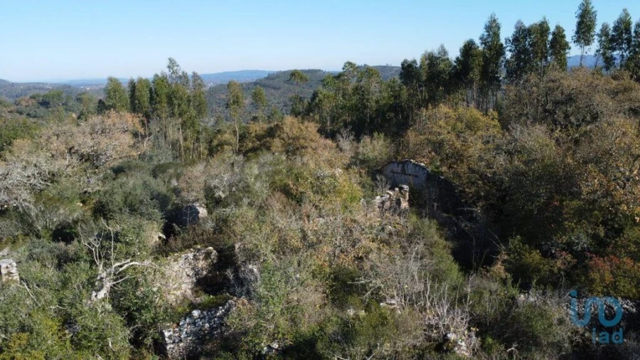 Moradia para Venda em Freixianda, Ribeira do Fárrio e Formigais Foto 2