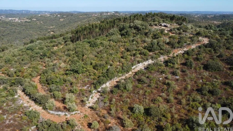 Moradia para Venda em Freixianda, Ribeira do Fárrio e Formigais Foto 24