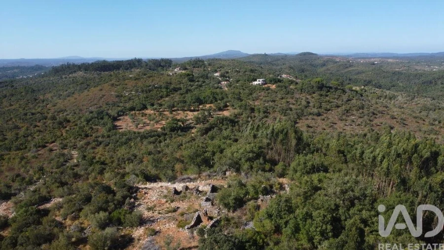 Moradia para Venda em Freixianda, Ribeira do Fárrio e Formigais Foto 25