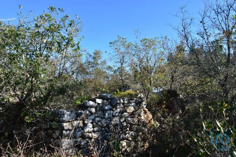 Moradia para Venda em Freixianda, Ribeira do Fárrio e Formigais Foto 12
