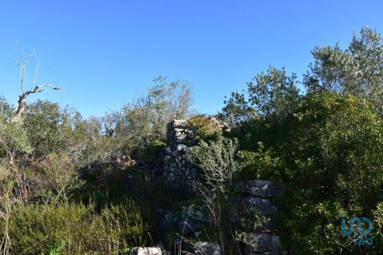 Moradia para Venda em Freixianda, Ribeira do Fárrio e Formigais Foto 10