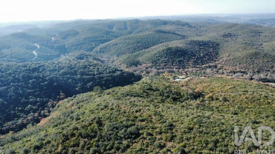 Moradia para Venda em Freixianda, Ribeira do Fárrio e Formigais Foto 26
