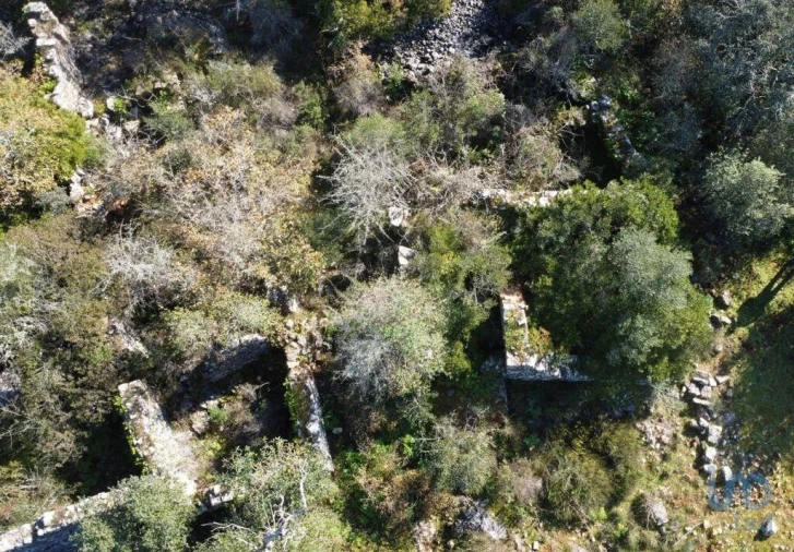 Moradia para Venda em Freixianda, Ribeira do Fárrio e Formigais Foto 9