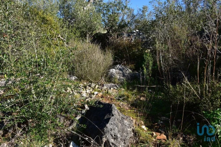 Moradia para Venda em Freixianda, Ribeira do Fárrio e Formigais Foto 14