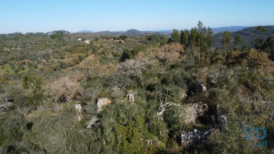 Moradia para Venda em Freixianda, Ribeira do Fárrio e Formigais Foto 4