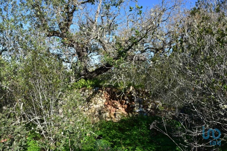 Moradia para Venda em Freixianda, Ribeira do Fárrio e Formigais Foto 5