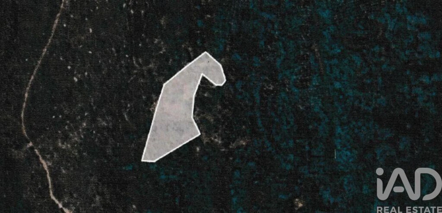 Moradia para Venda em Freixianda, Ribeira do Fárrio e Formigais Foto 27