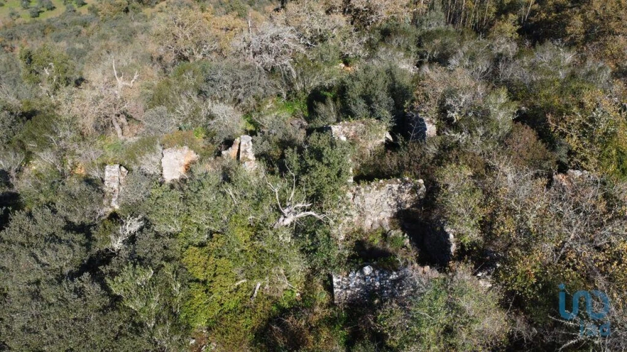 Moradia para Venda em Freixianda, Ribeira do Fárrio e Formigais Foto 7