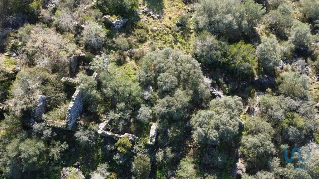 Moradia para Venda em Freixianda, Ribeira do Fárrio e Formigais Foto 8