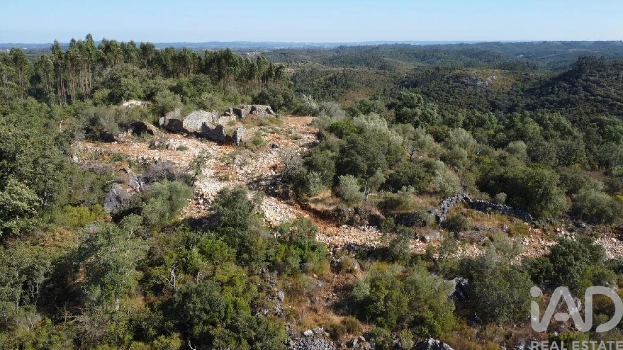 Moradia para Venda em Freixianda, Ribeira do Fárrio e Formigais Foto 16