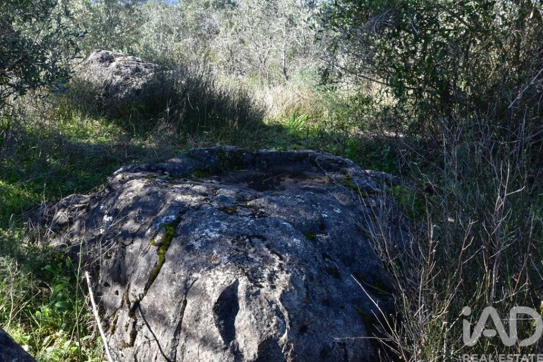 Moradia para Venda em Freixianda, Ribeira do Fárrio e Formigais Foto 17
