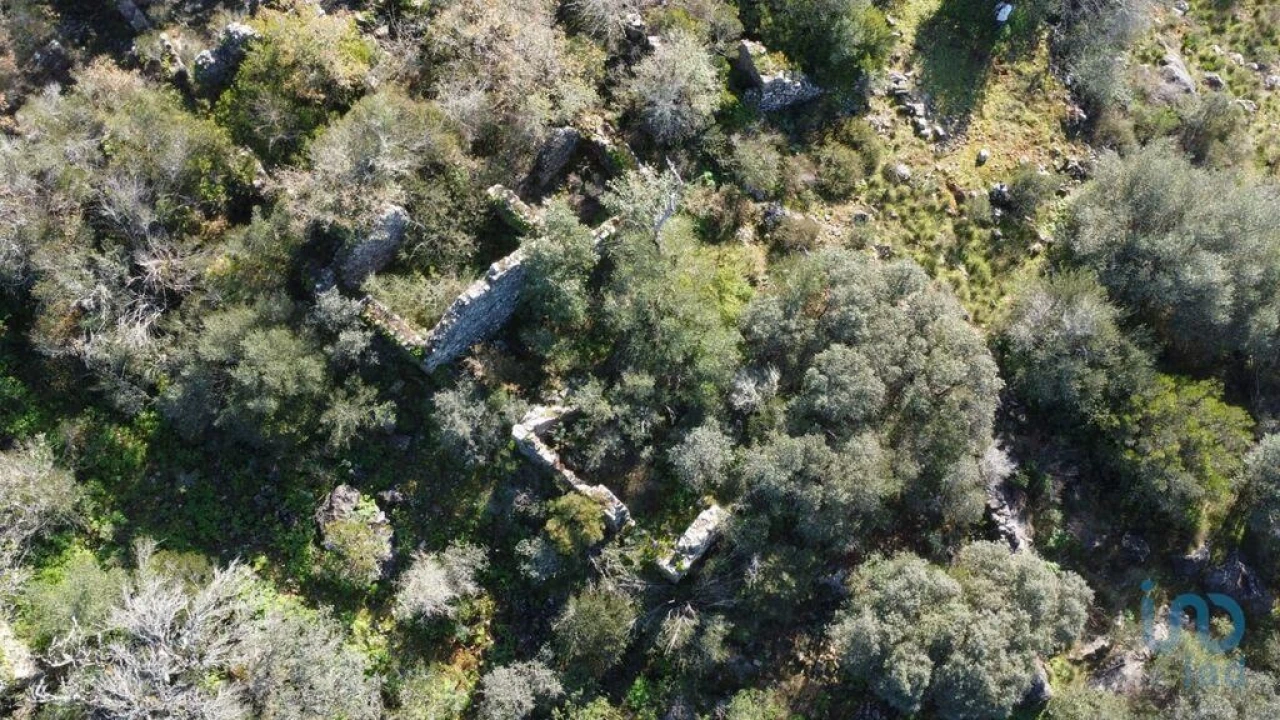 Moradia para Venda em Freixianda, Ribeira do Fárrio e Formigais Foto 6