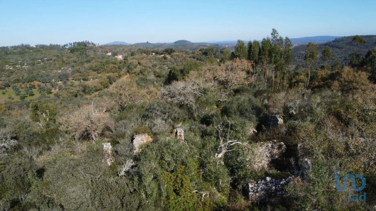 Moradia para Venda em Freixianda, Ribeira do Fárrio e Formigais Foto 4