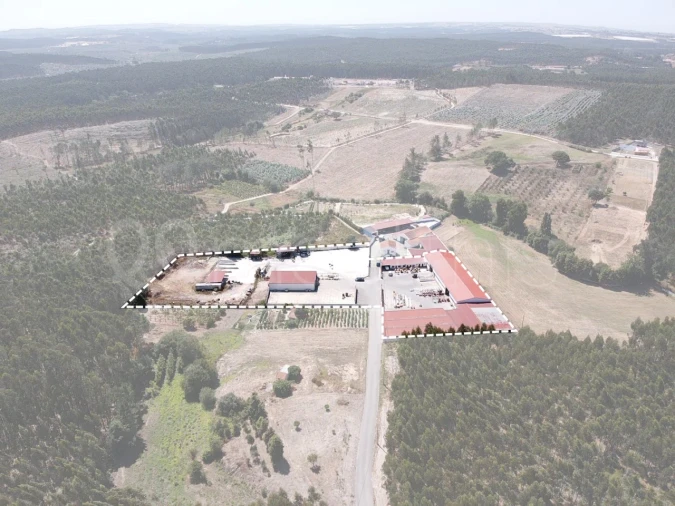 Armazém para Venda em Campelos e Outeiro da Cabeça