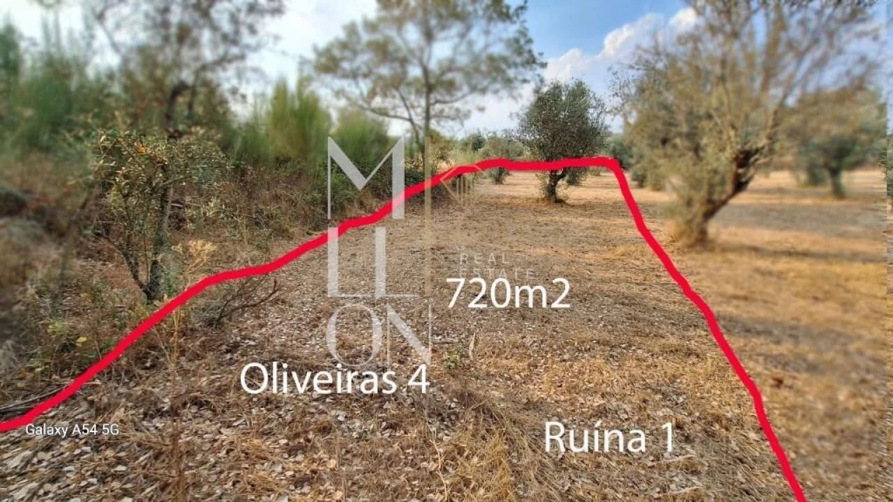 Terreno para Venda em Figueiro da Granja Foto 1