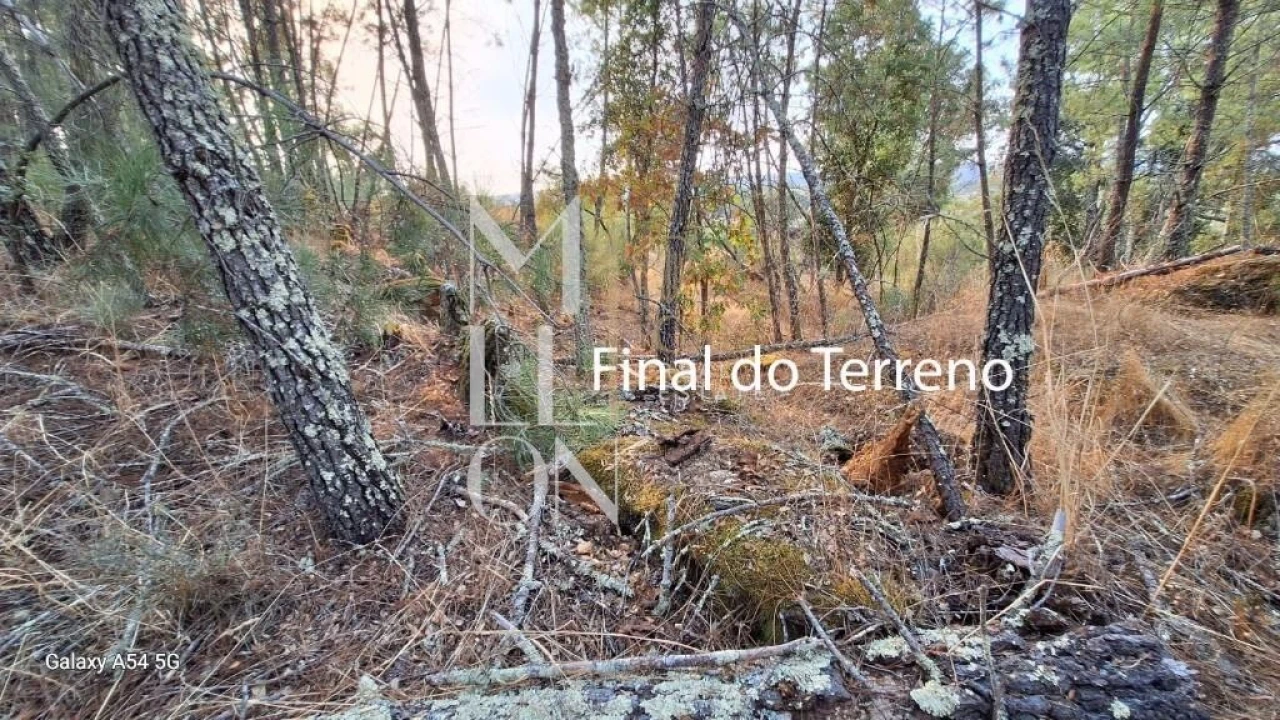 Terreno para Venda em Figueiro da Granja Foto 7