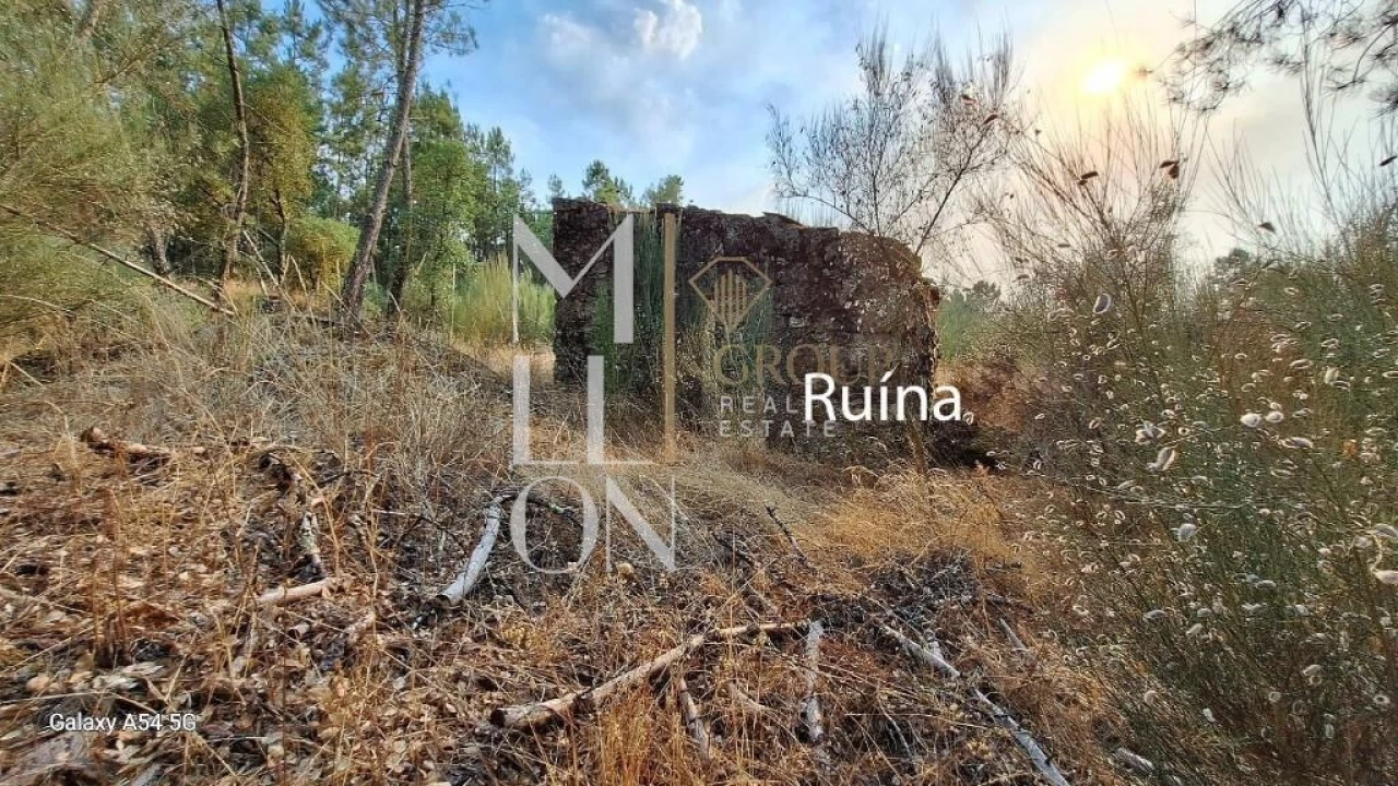 Terreno para Venda em Figueiro da Granja Foto 6