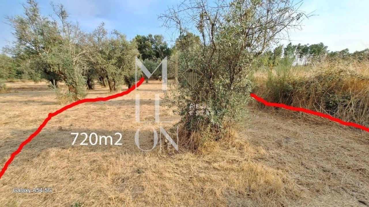 Terreno para Venda em Figueiro da Granja Foto 4