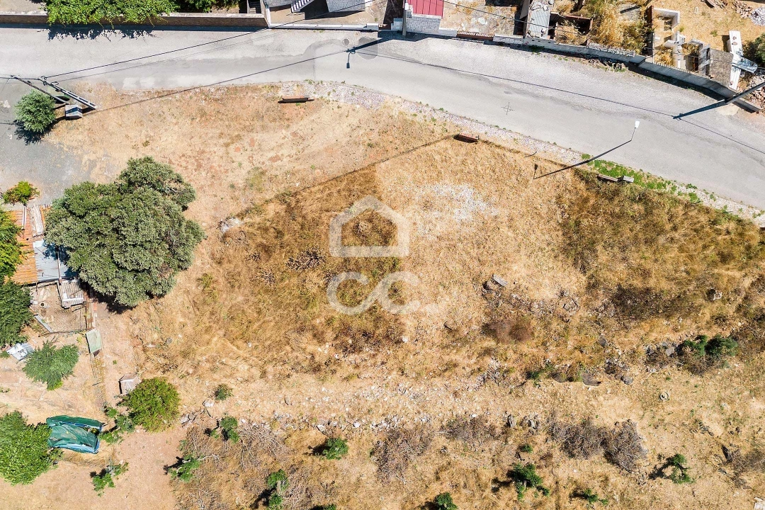 Terreno para Venda em Borba (Matriz) Foto 8