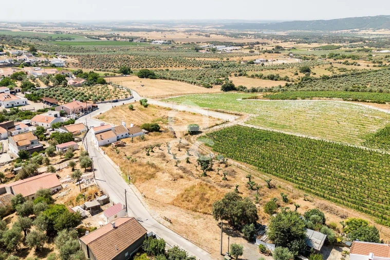 Terreno para Venda em Borba (Matriz) Foto 5