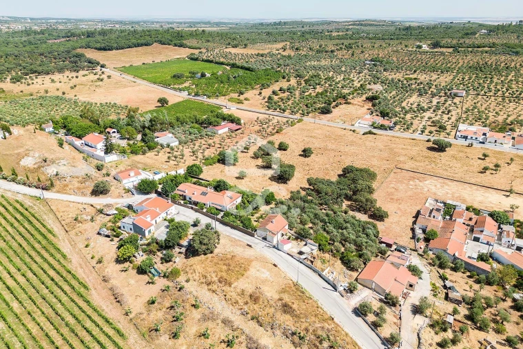 Terreno para Venda em Borba (Matriz) Foto 9