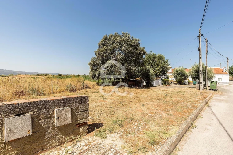 Terreno para Venda em Borba (Matriz) Foto 7