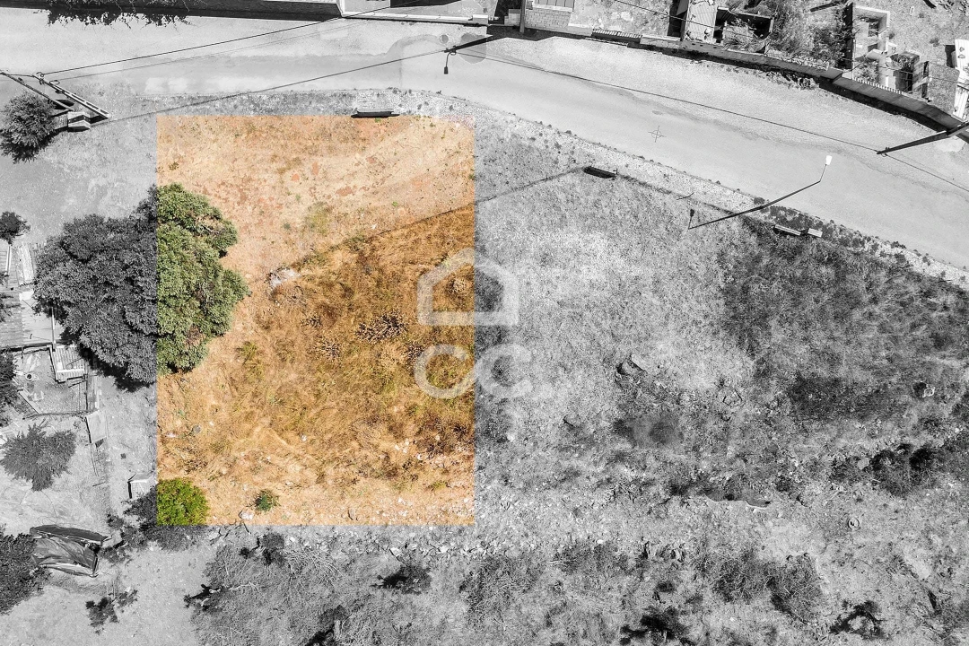 Terreno para Venda em Borba (Matriz) Foto 3