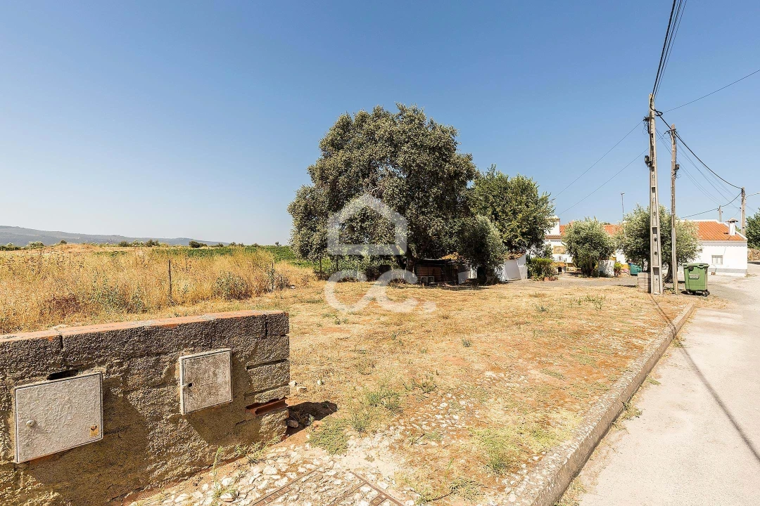 Terreno para Venda em Borba (Matriz) Foto 7