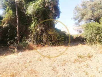 Terreno para Venda em Loule (São Sebastião)