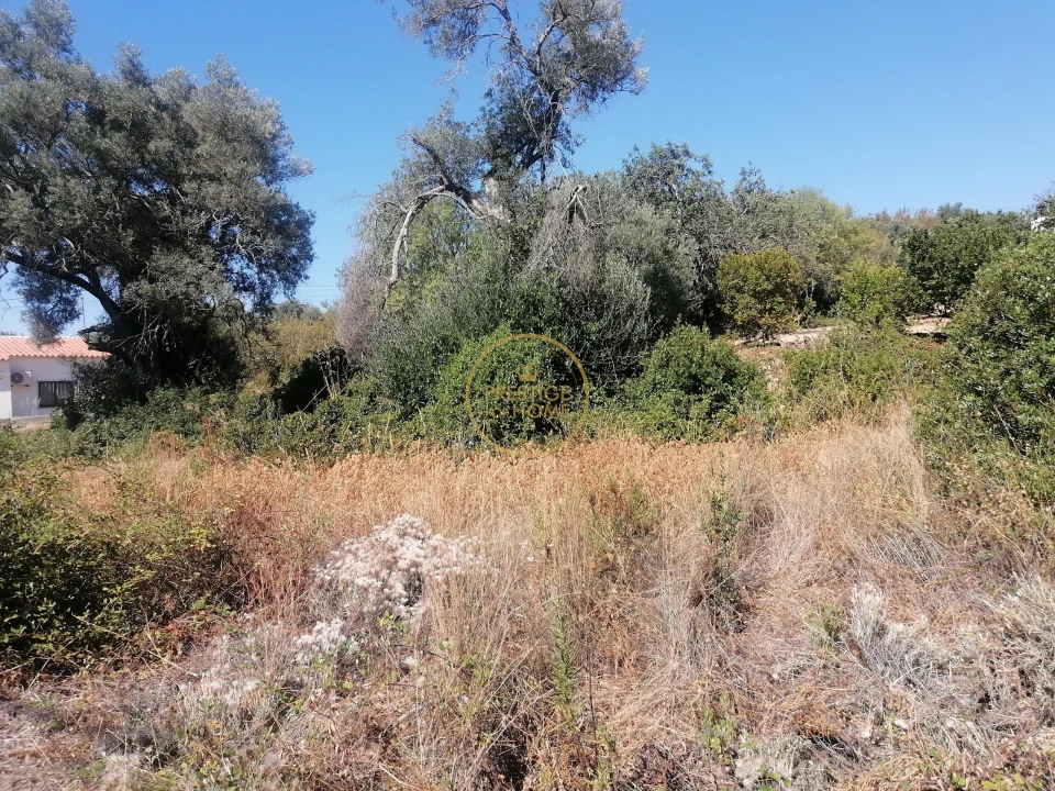 Terreno para Venda em Loule (São Sebastião) Foto 4