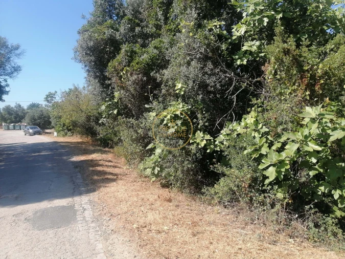 Terreno para Venda em Loule (São Sebastião) Foto 7