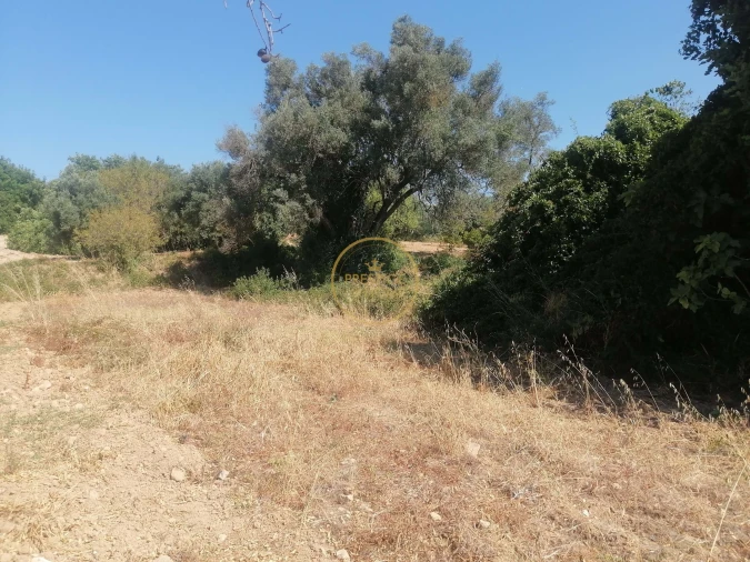 Terreno para Venda em Loule (São Sebastião) Foto 3