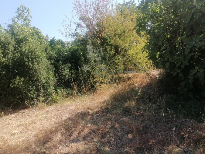 Terreno para Venda em Loule (São Sebastião) Foto 8