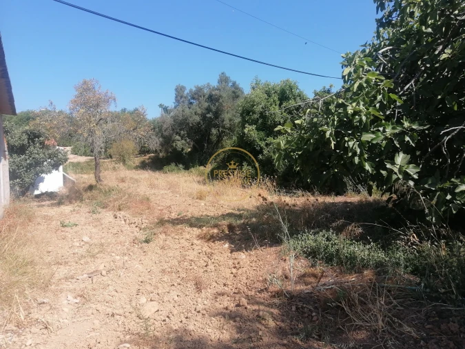 Terreno para Venda em Loule (São Sebastião) Foto 6