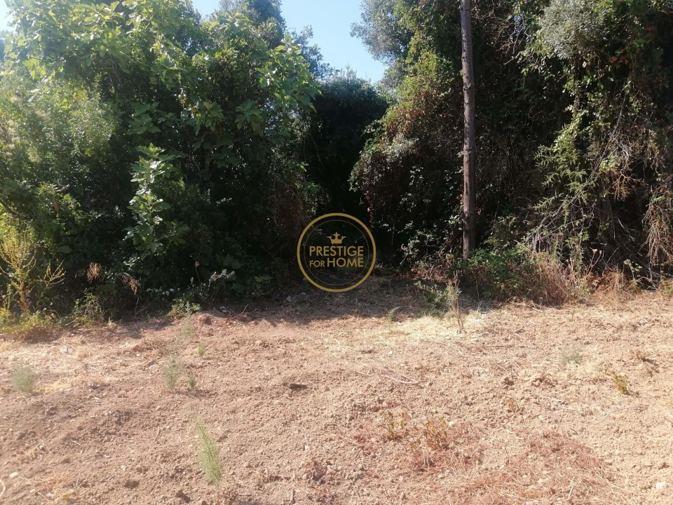 Terreno para Venda em Loule (São Sebastião) Foto 5