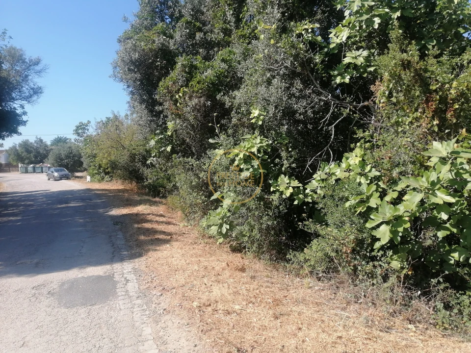 Terreno para Venda em Loule (São Sebastião) Foto 2