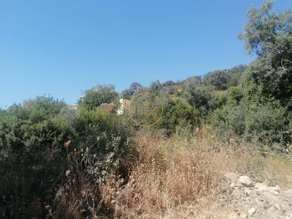 Terreno para Venda em Loule (São Sebastião) Foto 5