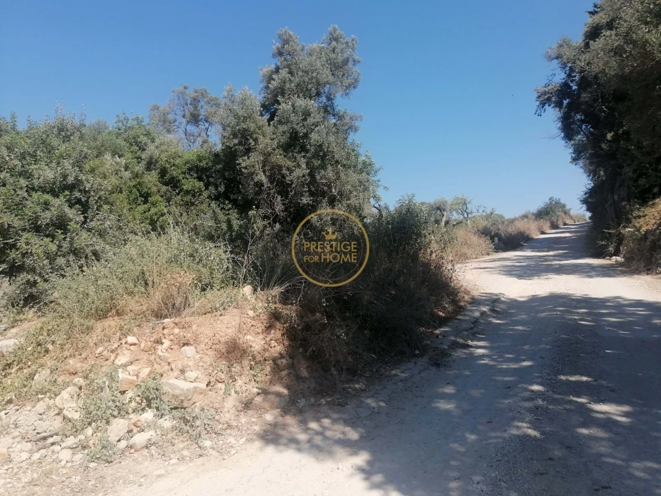 Terreno para Venda em Loule (São Sebastião) Foto 7