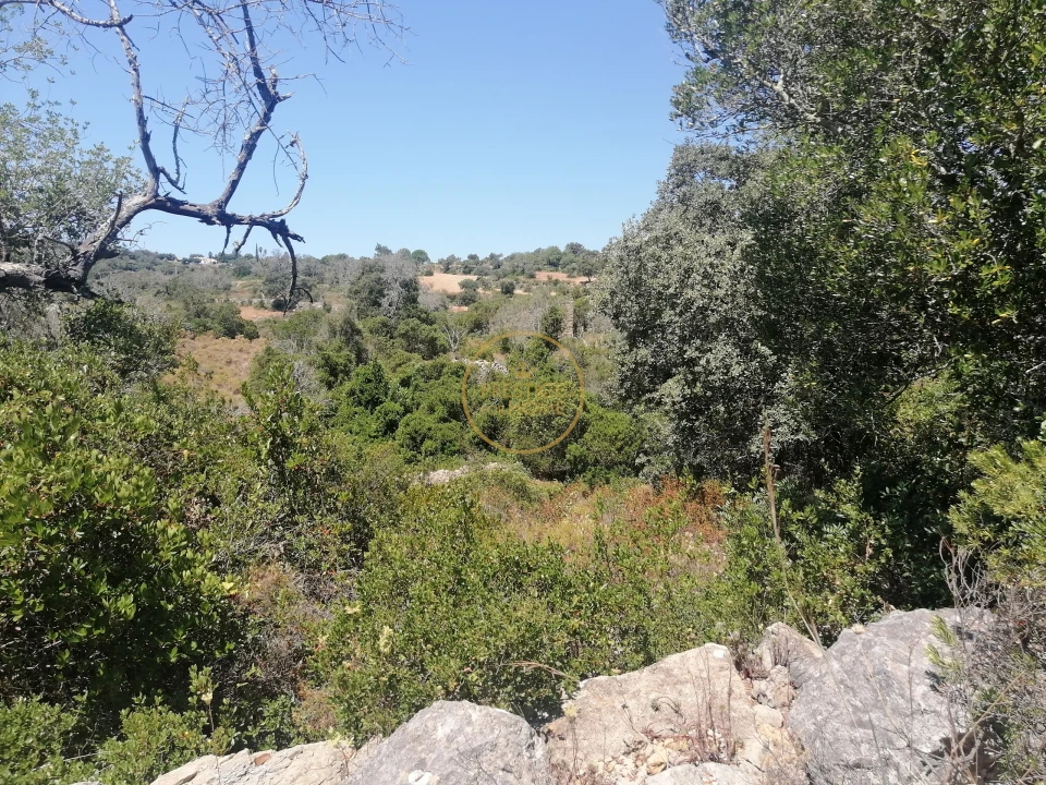 Terreno para Venda em Loule (São Sebastião) Foto 10