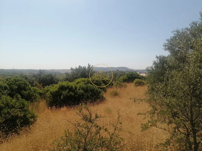 Terreno para Venda em Loule (São Sebastião)
