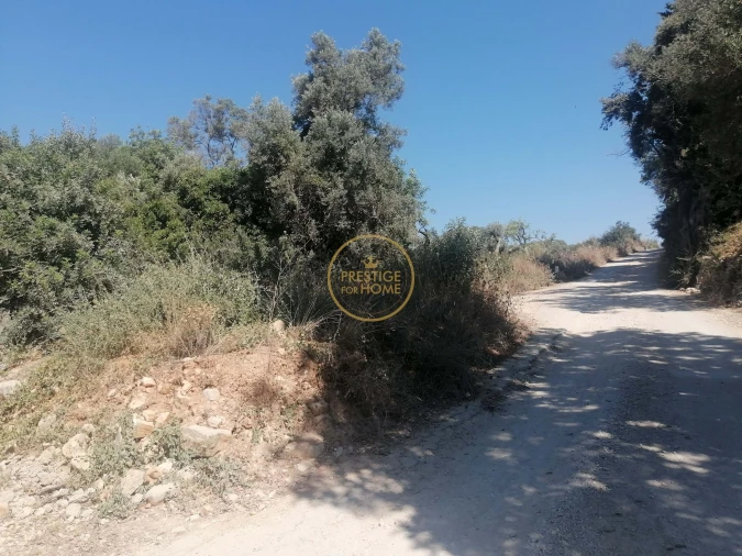 Terreno para Venda em Loule (São Sebastião) Foto 7