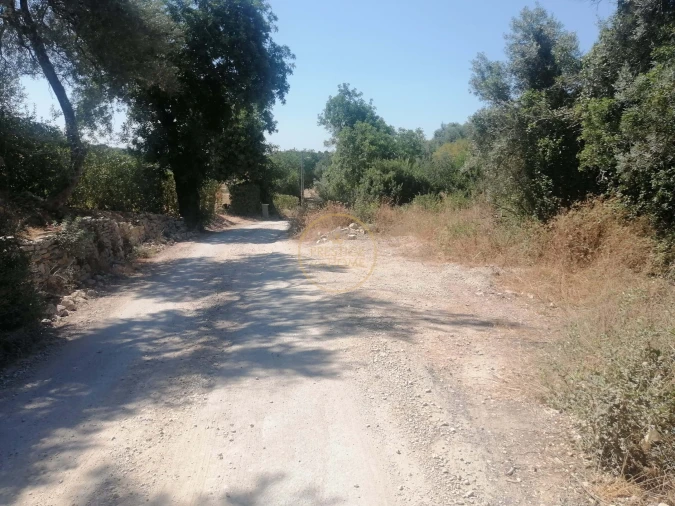 Terreno para Venda em Loule (São Sebastião) Foto 2