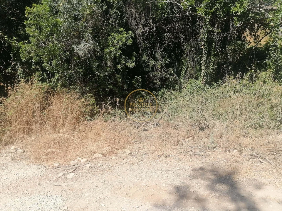 Terreno para Venda em Loule (São Sebastião) Foto 8
