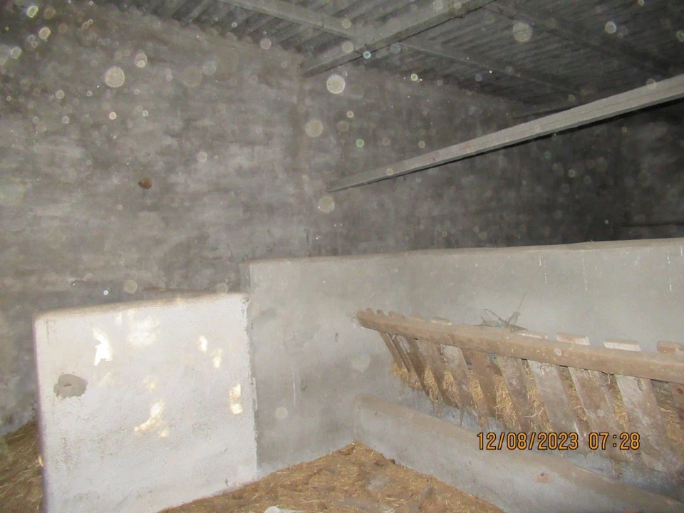 Quinta T4 para Venda em São Salvador da Aramenha Foto 7